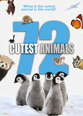 72 Cutest Animals - Season 1